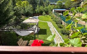 Cosy Mountain Villa In Nizepole