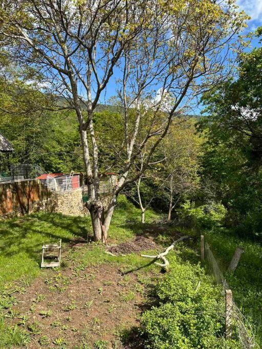Cosy Mountain Villa In Nizepole Bitola Extérieur photo