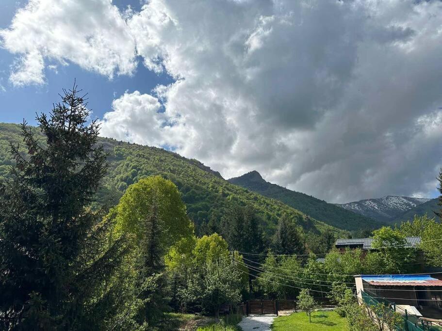 Cosy Mountain Villa In Nizepole Bitola Extérieur photo